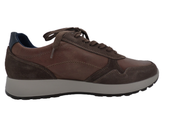 Chaussures cuir tennis homme lacets+zip chaussant confort IMAC coloris marron. Vue côté intérieur d'une chaussure gauche.